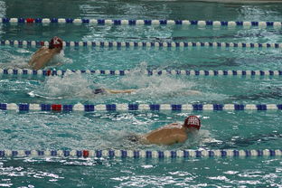 开云体育入口-中国游泳运动员世锦赛接力项目表现抢眼，中国游泳接力夺金